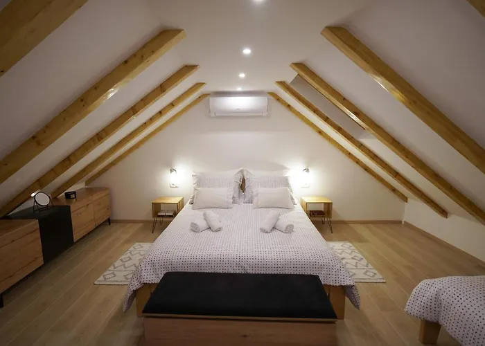 Ispod Ure アパート シニ